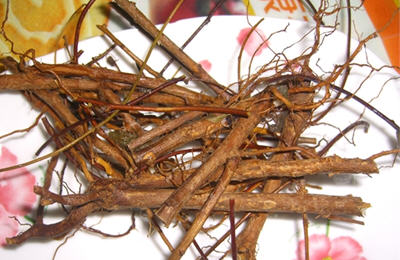 枸杞根的作用与功效_枸杞根的营养价值讲解_