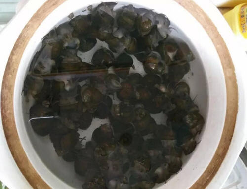 田螺怎么洗的才干净的两种方法图解_聚餐网