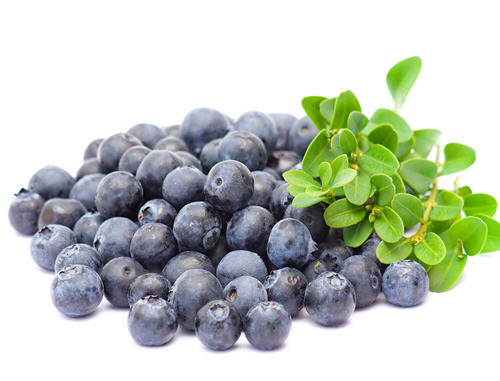 蓝莓的营养价值及功效_聚餐网