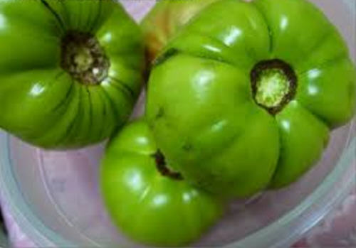 绿番茄有毒吗?绿番茄能吃吗?_聚餐网