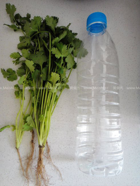 半瓶水 让香菜再葱郁半个月 