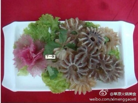 阳宝饺子-深受成功男士宠爱的美食 - 草原美食 - 草原锡蒙羔火锅美食