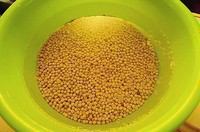 土法自制黄豆酱的做法 步骤2