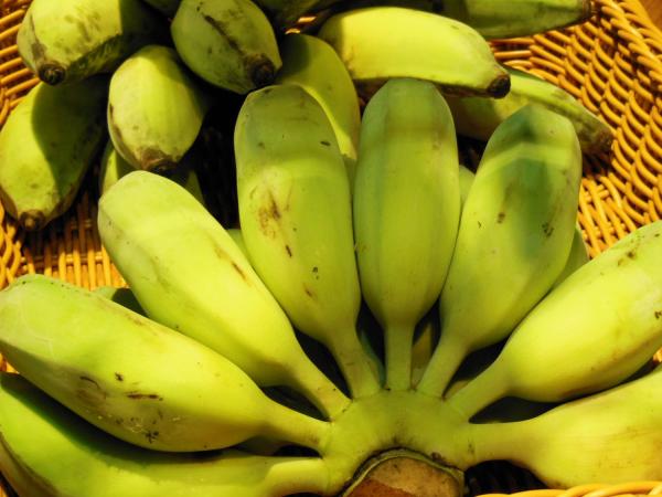 摄取含钾食物如香蕉，可降血压。