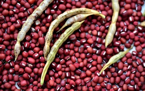 红小豆的功效与作用及食用方法 红小豆的营养价值与禁忌 聚餐网