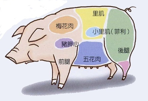 梅头肉是什么部位图解图片