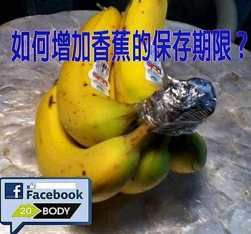 My Image 32