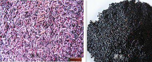 紫米和黑米的区别和二者食疗价值讲解