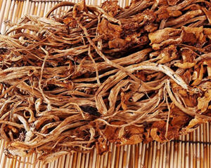 茶树菇的做法大全