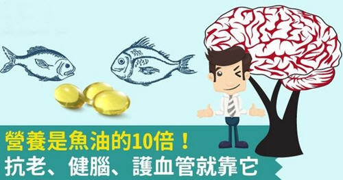 磷虾油抗老、健脑、护血管营养是鱼油的10倍!