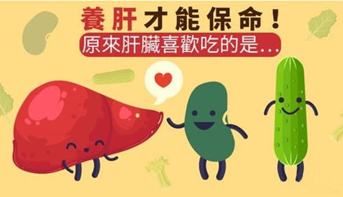 保护肝脏吃什么好?保护肝脏多吃青色的蔬菜