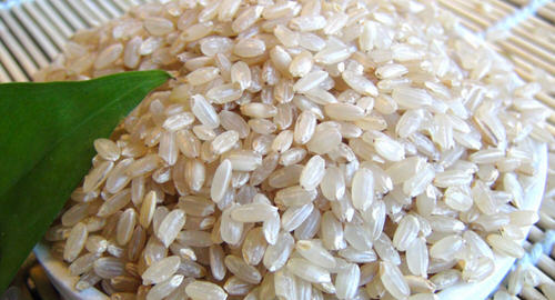 怎么辨别糙米好坏的方法