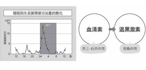 好好睡眠不只无病还能救命!生长贺尔蒙让你变年轻