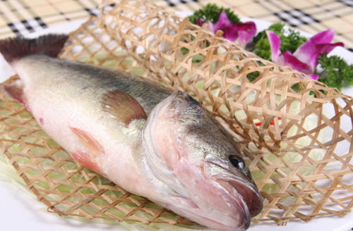 北京淡水鲈鱼多少钱一斤