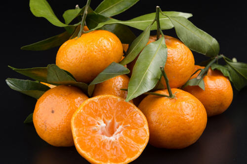 冰糖橘和砂糖橘哪个好吃?冰糖橘和沙糖桔的区别?