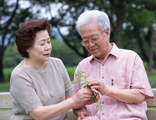 冬季老年人养生保健注意事项_冬天老年人如何养生才有效