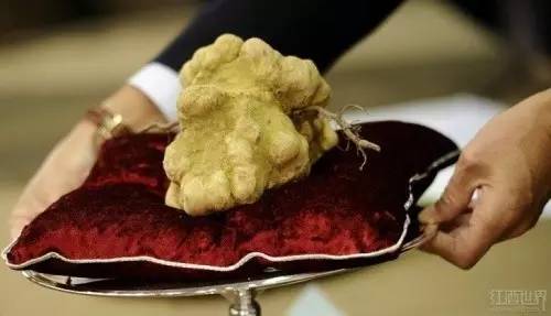 全球最昂贵美食排行榜前10名