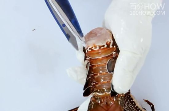 波士顿龙处理方法19