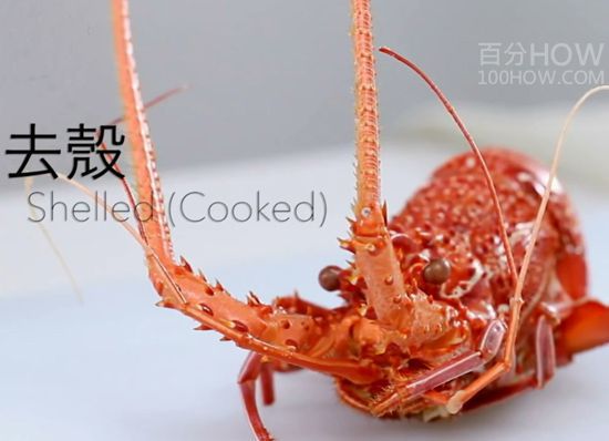 波士顿龙处理方法24