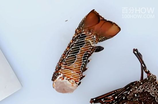 波士顿龙处理方法18