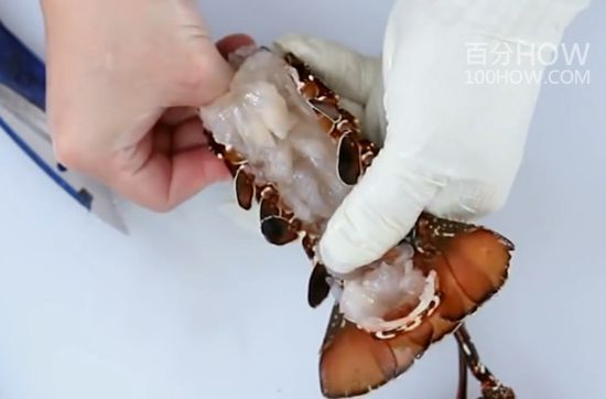 波士顿龙处理方法22