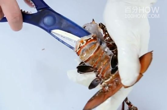 波士顿龙处理方法20