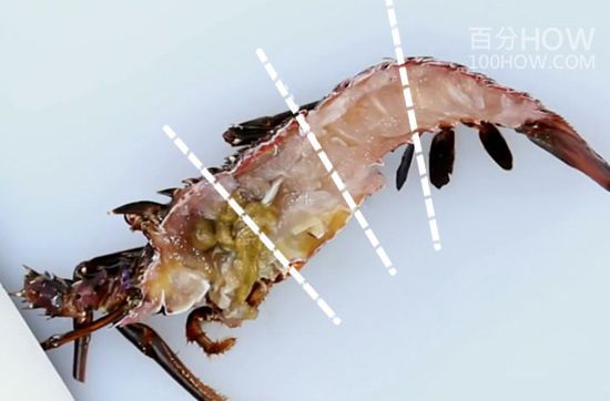 波士顿龙处理方法11