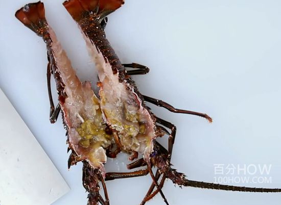 波士顿龙处理方法9