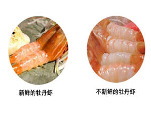 新鲜牡丹虾的4大选购技巧