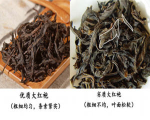 大红袍茶叶形状图片是什么样的
