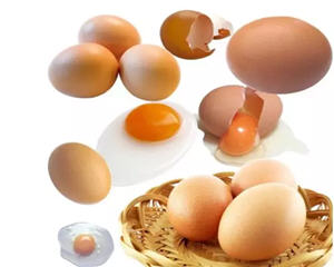 早晨吃鸡蛋对身体有什么好处