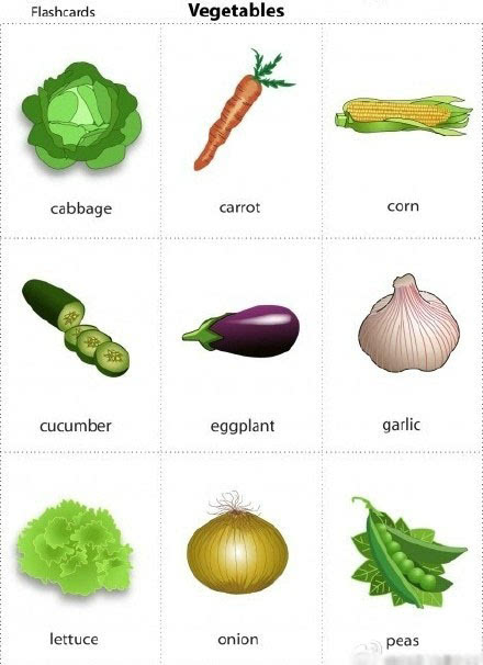 生活中常见蔬菜英语单词对照表4