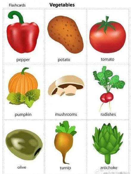 生活中常见蔬菜英语单词对照表5