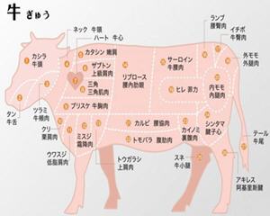 牛肉各部位中日文对照表图文解说
