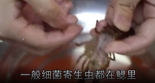 龙虾怎么洗简单又干净方法和窍门图解1