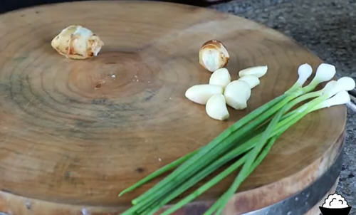 网红整只八爪鱼爆头6