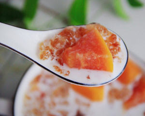 木瓜桃胶炖牛奶正确做法