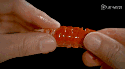 吃小龙虾的正确吃法（快速剥壳）7