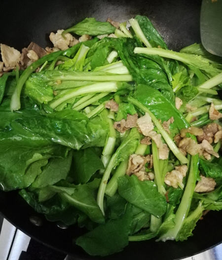 东北小白菜炖豆腐4