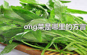 ong菜是哪里的方言?ong菜是哪里的叫法