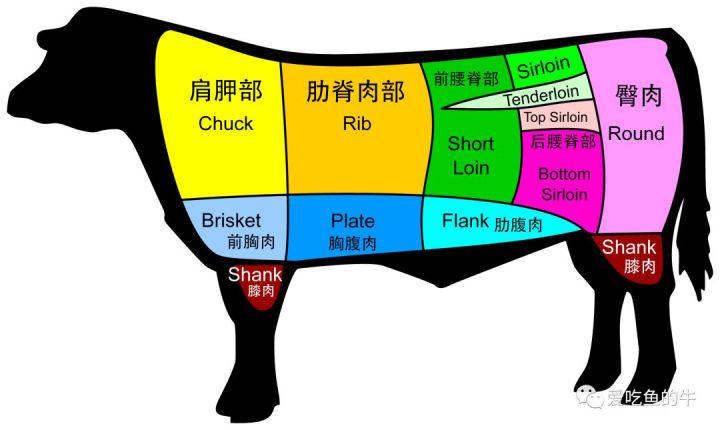 牛排部位的介绍和口感图解3
