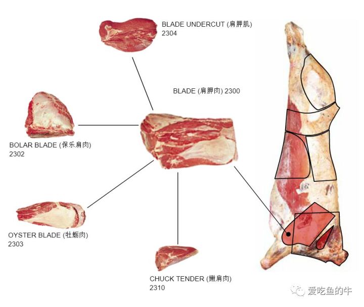 牛排部位的介绍和口感图解5