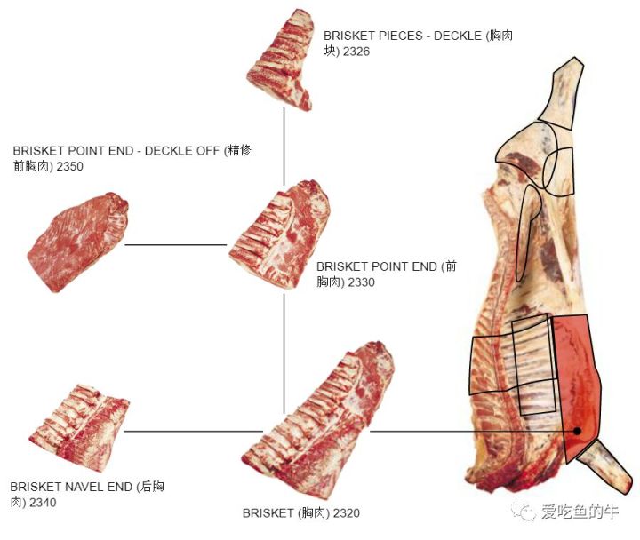 牛排部位的介绍和口感图解7