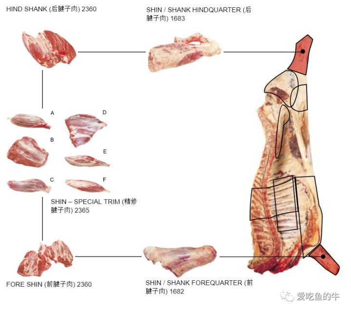 牛排部位的介绍和口感图解11