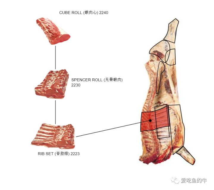 牛排部位的介绍和口感图解14