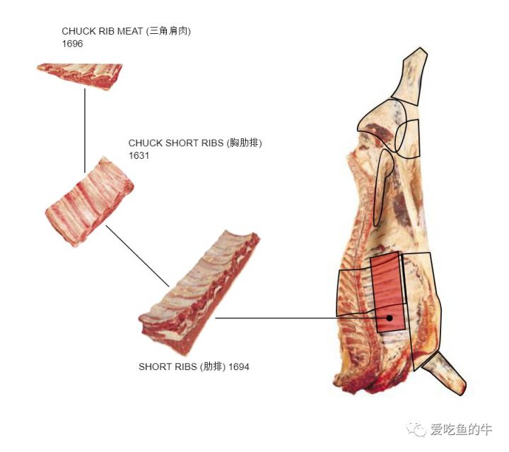 牛排部位的介绍和口感图解15