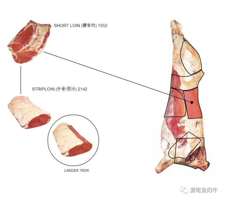 牛排部位的介绍和口感图解17