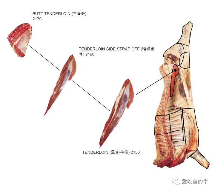 牛排部位的介绍和口感图解18