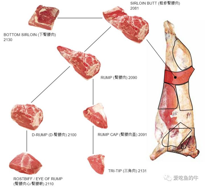 牛排部位的介绍和口感图解20