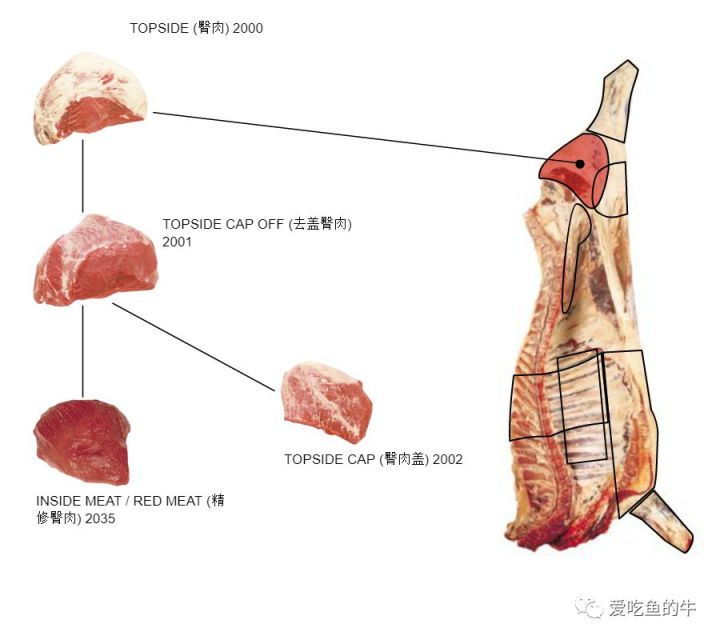 牛排部位的介绍和口感图解22